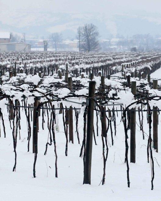 Danni dopo la nevicata, ecco i fondi 