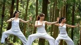 Una lezione di kung-fu