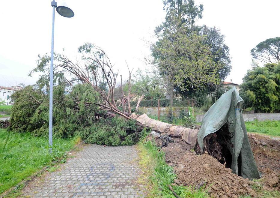 Rinviato il trasloco del tasso secolare