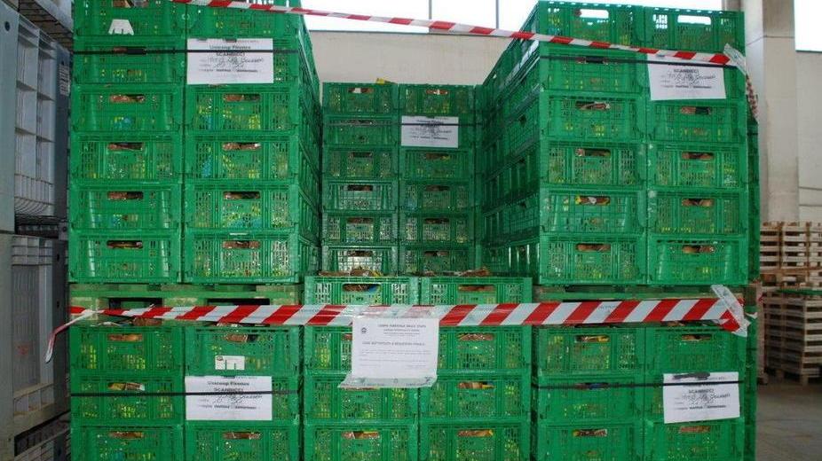 La truffa delle patate di Bolgheri