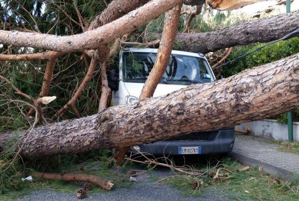 Tempesta, schede sui danni fino a giovedì