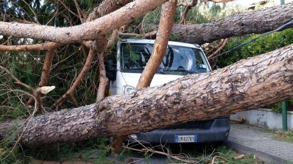 Tempesta, schede sui danni fino a giovedì