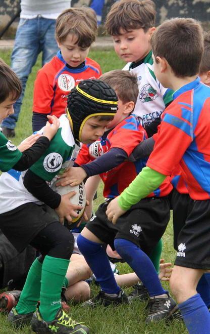 Etruschi Under 18, una battuta a vuoto Bene i piccoli Lions