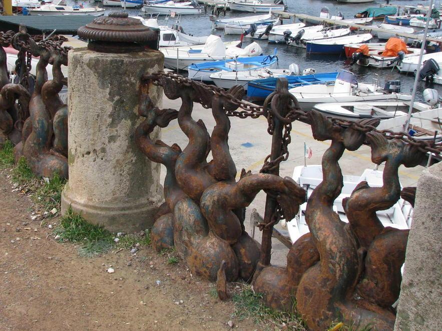 I delfini non torneranno più all’Ardenza 