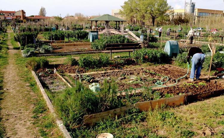 Contro la crisi funziona anche ritornare alla terra 