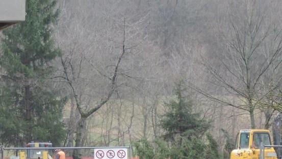 Nuova palestra, via al cantiere dopo l’appalto alla ditta Pica