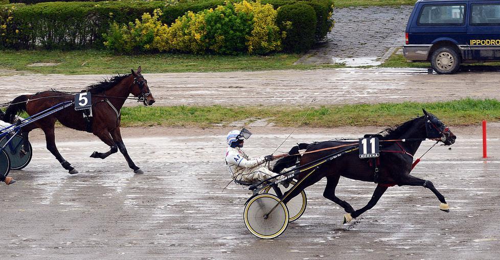 Raja Horse sorprende tutti al Ghirlandina: Tris ricca, 7000 euro 