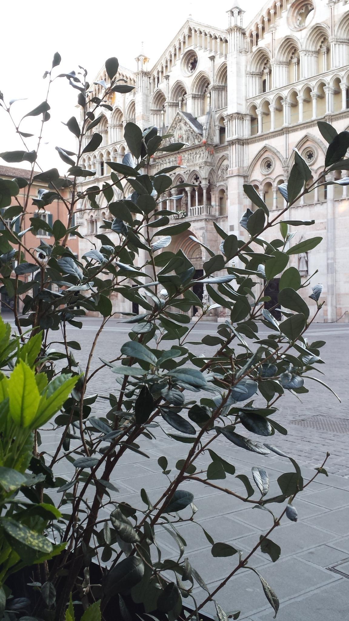 Il Duomo di Ferrara 
