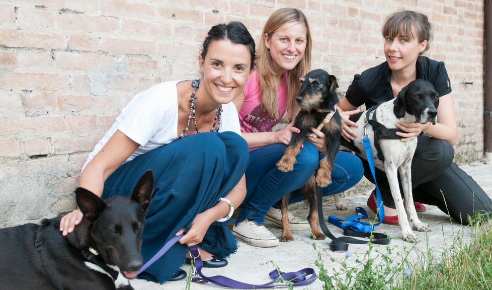 “Bestiacce” trova il cane per te 
