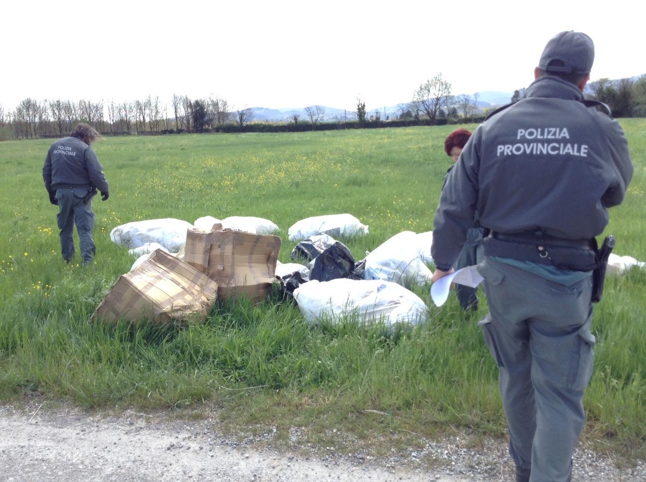 La polizia provinciale all'opera a Castelnuovo (foto Batavia)