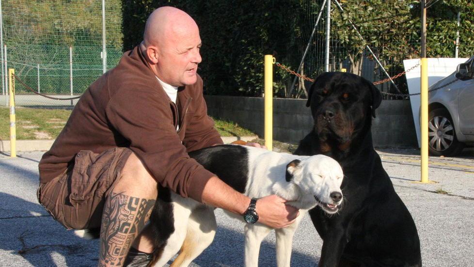 Il rottweiler (a destra) protagonista dell'aggressione
