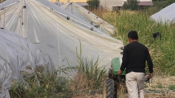 Un contadino al lavoro nella zona di Castelnuovo