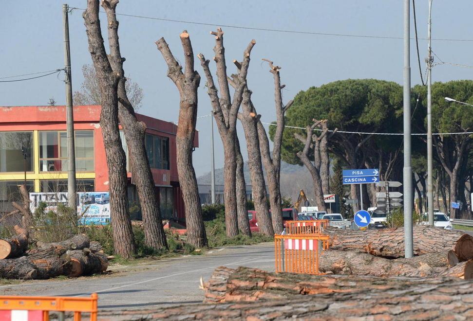 Tempesta di vento: ben 235mila euro di danni a Calcinaia 