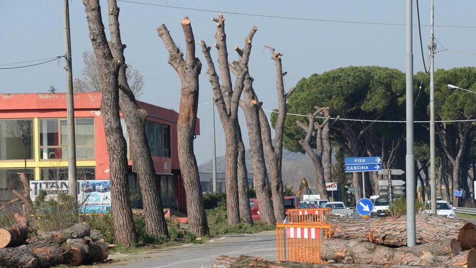 Tempesta di vento: ben 235mila euro di danni a Calcinaia