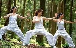 Festa del kung-fu e dello yoga 