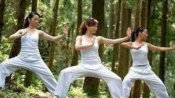 Festa del kung-fu e dello yoga