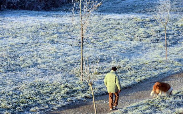 Una brinata in una campagna toscana (foto d'archivio)
