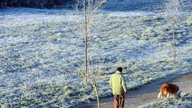 Una brinata in una campagna toscana (foto d'archivio)