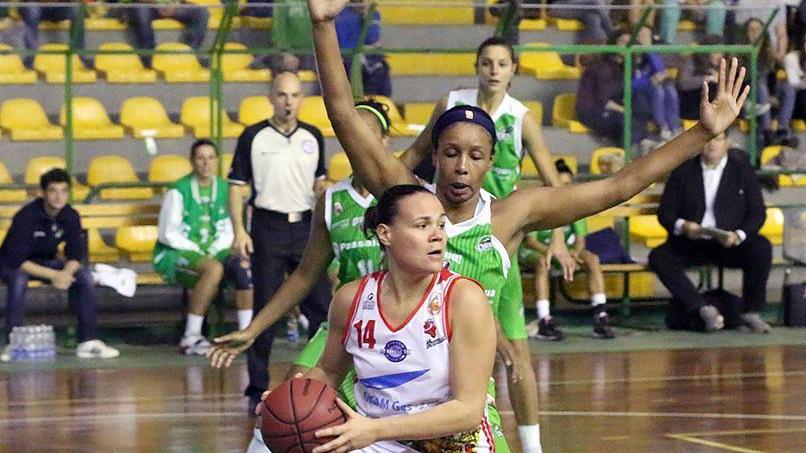 Crippa marcata da Pierson (foto Roberto Liberi)