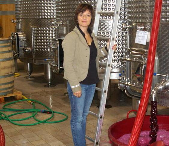 I vini di Cinzia Merli in Val di Pesa