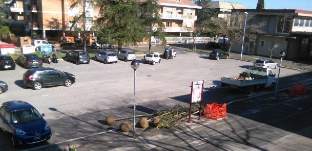 Dopo i tagli nuovi alberi alla Chelliana
