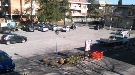 Dopo i tagli nuovi alberi alla Chelliana
