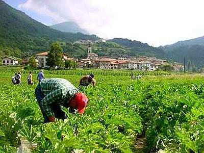 Laboratori nei campi ad Aosta per l'Institut Agricole Règional 