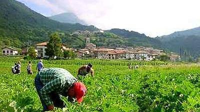 Laboratori nei campi ad Aosta per l'Institut Agricole Règional