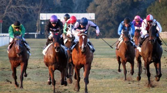 Un arrivo a San Rossore