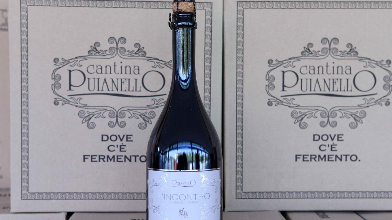 I migliori lambruschi reggiani in vetrina all’Expo di Milano