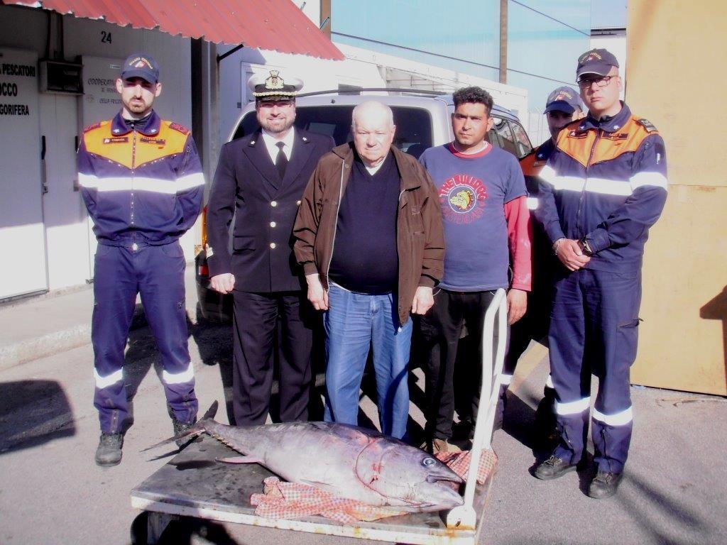 Il tonno pescato