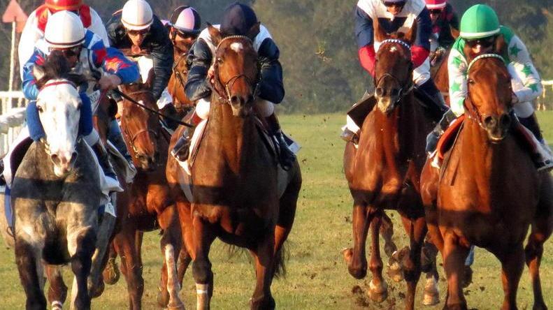 Ippica, un gran finale per il galoppo pisano oggi a San Rossore