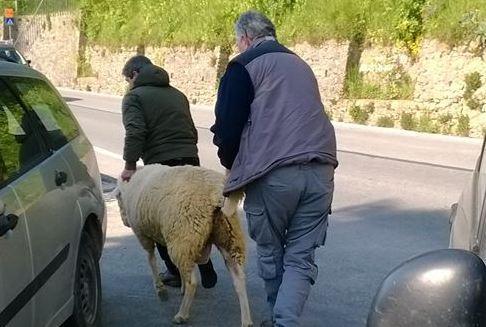 “Difendiamo l’ospedale” cerca le firme per il referendum