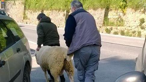 “Difendiamo l’ospedale” cerca le firme per il referendum