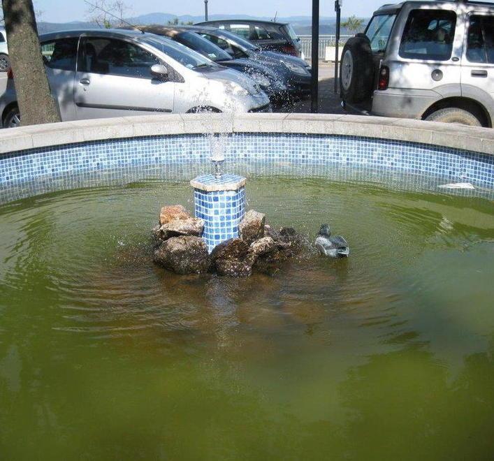 Vandali danneggiano la fontana 