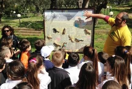 Rotte migratorie, in Maremma un corridoio di protezione