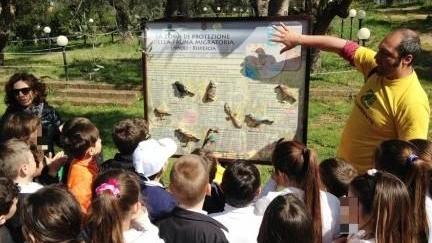 Rotte migratorie, in Maremma un corridoio di protezione