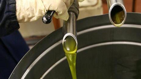 Migliaia di visitatori attesi nel week-end per la Festa dell’olio
