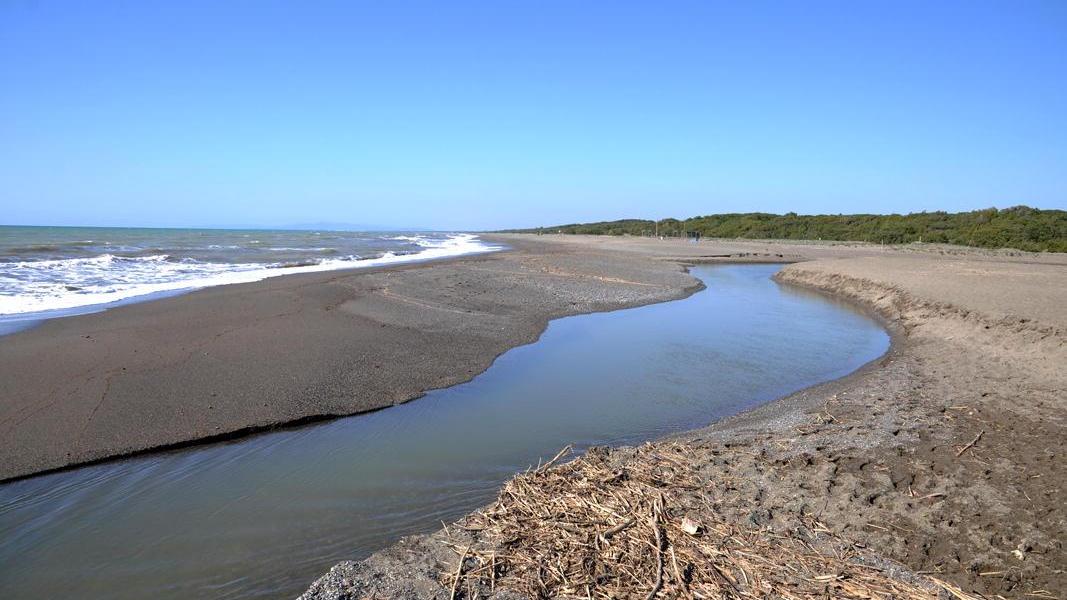 Il tratto di spiaggia dove dovrebbe sorgere lo stabilimento (foto Falorni)