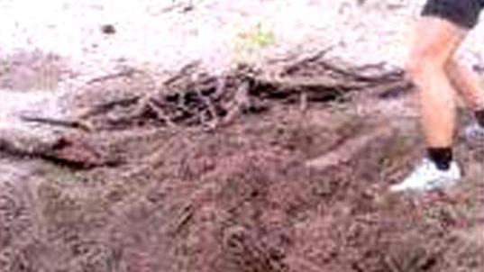I rifiuti sepolti sulla spiaggia delle Marze (foto Corpo forestale/Arpat)