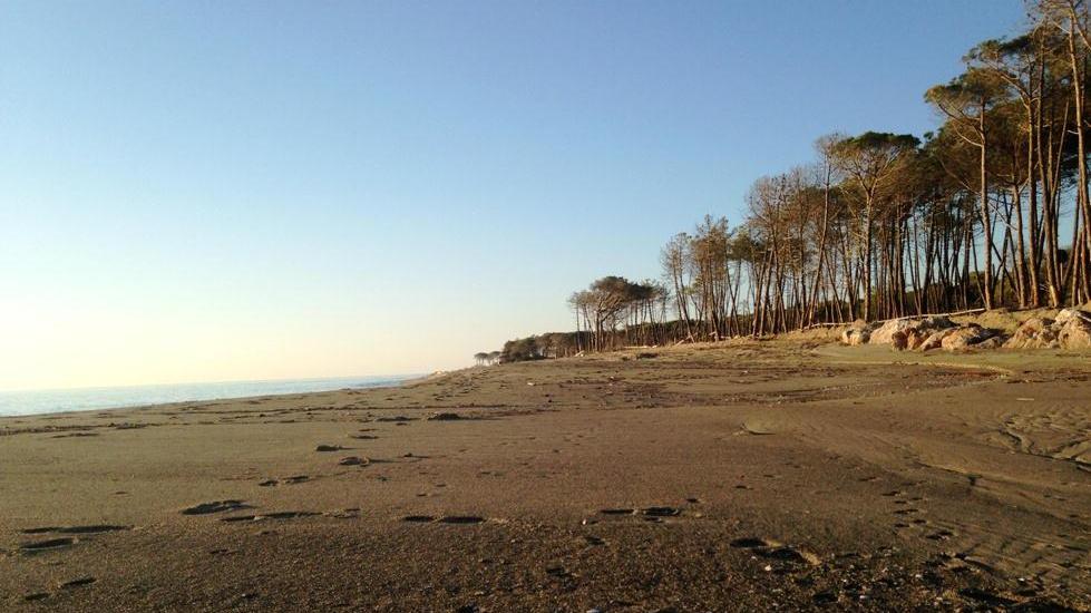 La spiaggia di Marina di Alberese come è adesso