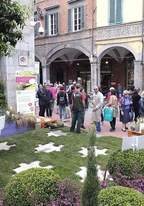 Da oggi “Pisa in fiore” il centro della città diventa un giardino 