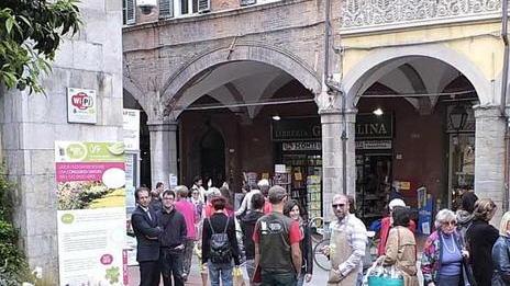 Da oggi “Pisa in fiore” il centro della città diventa un giardino