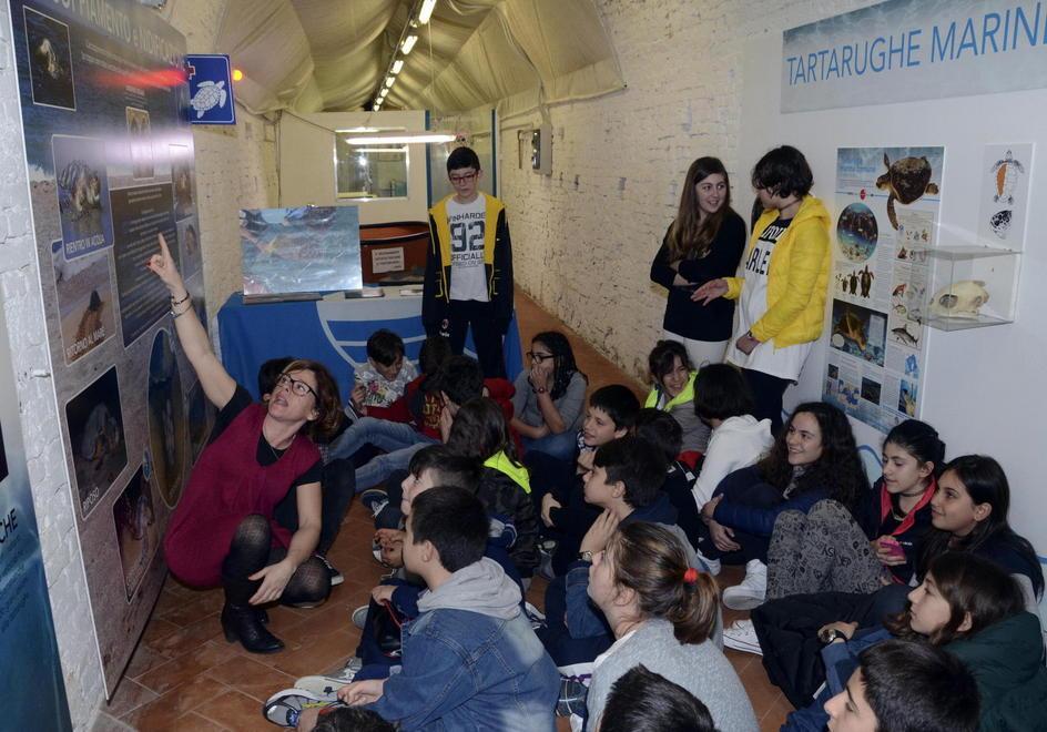 Salvate dalle reti Olivia e Ondina riprendono il mare 