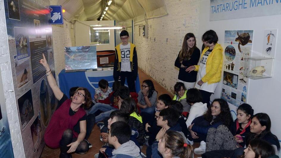 Salvate dalle reti Olivia e Ondina riprendono il mare