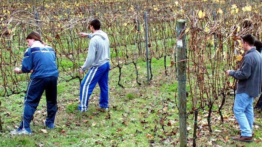 Basta droga a scuola, parola del preside