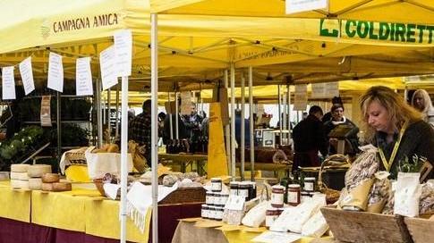 Apre Viva la Terra, orti e vita da fattoria a CarraraFiere