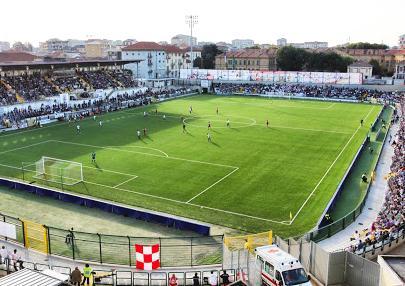 Attenzione al sintetico di Vercelli Su questi campi mai una gioia