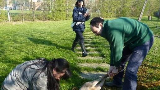 Un capriolo entra a scuola: salvato davanti agli studenti