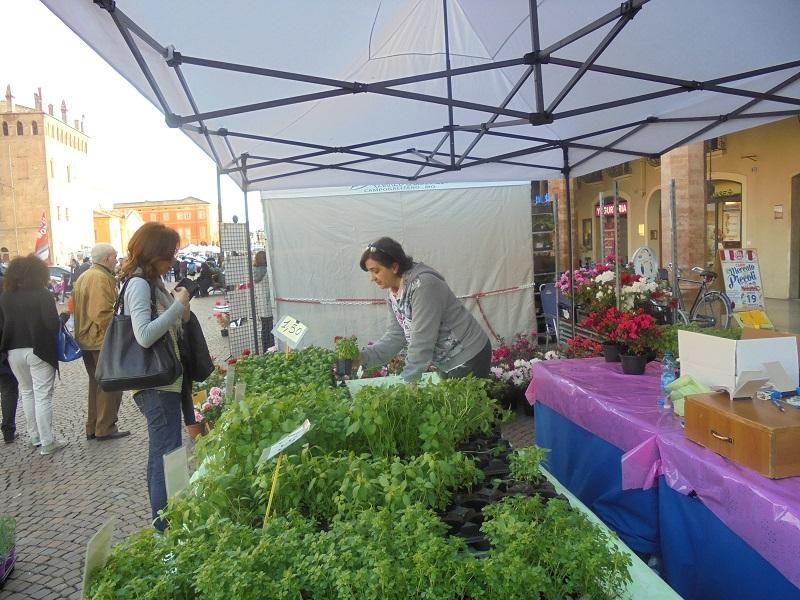 Un espositore di "Carpi in fiore"